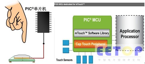 Microchip-04.jpg