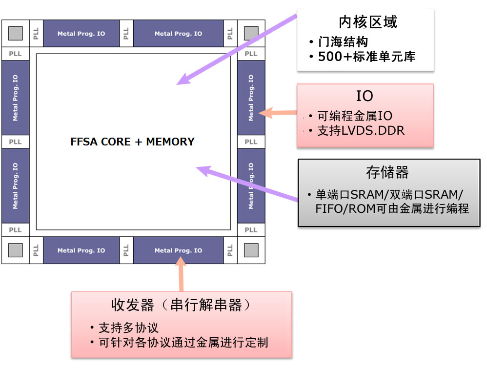 chip image2.jpg