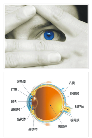 流言揭秘：LED燈的藍光會損害眼睛嗎？