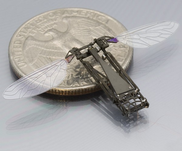 可以上天入水的蜜蜂機器人Robobees