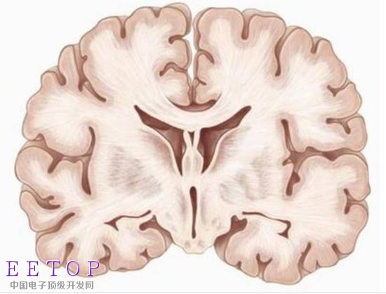 你信嗎？人腦記憶可以存儲備份了 是真的